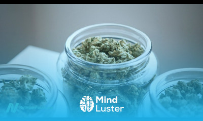 Is Marijuana Addictive