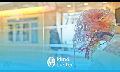 Does Marijuana Cause Permanent Brain Damage in Adults