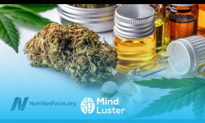 Marijuana Legalization and the Opioid Epidemic