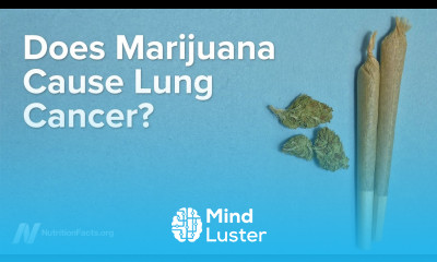 Does Marijuana Cause Lung Cancer