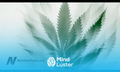 Does Marijuana Cause Schizophrenia