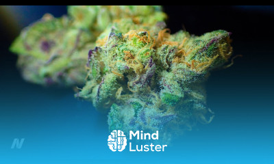 Does Marijuana Cause Strokes and Heart Attacks