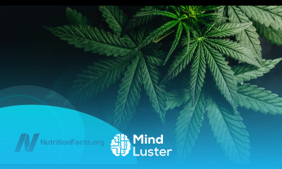 Cannabis for Inflammatory Bowel Disease IBD