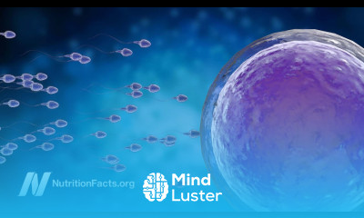 Does Laptop Wi Fi Lower Sperm Counts