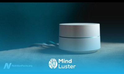 Does WiFi Radiation Affect Brain Function