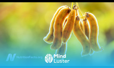 Treating Parkinson s Disease with Velvet Beans Mucuna pruriens