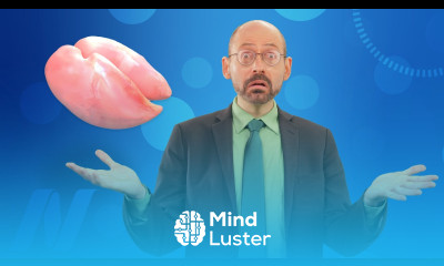 Vegetarians and Stroke Risk Factors—Animal Protein