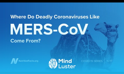 Where Do Deadly Coronaviruses Like MERS CoV Come From