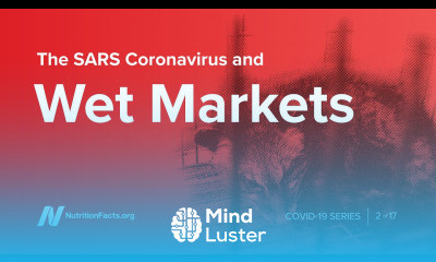 The SARS Coronavirus and Wet Markets