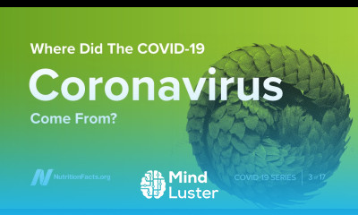Where Did the COVID 19 Coronavirus Come From