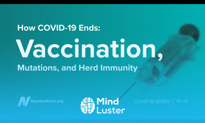 How COVID 19 Ends Vaccination Mutations and Herd Immunity