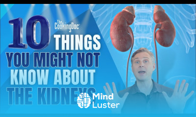 10 Things You Might Not Know About the Kidneys The Cooking Doc