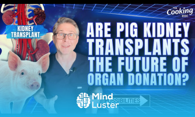 Are Pig Kidney Transplants the Future of Organ Donation Exploring the Possibilities