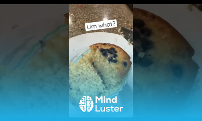 Blueberry muffins from Whole Foods Forgot the blueberries