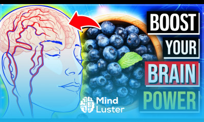 13 Top SUPERFOODS To Boost Your BRAIN Memory Power