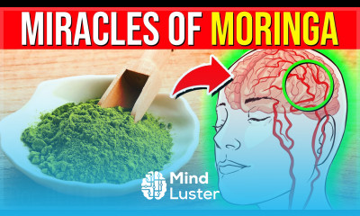 Eat Moringa Powder DAILY For 2 Weeks See What Happens To Your Body