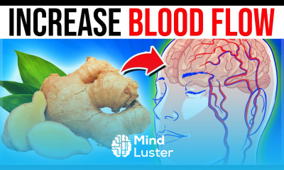 10 TOP SUPER Foods To Increase Blood Flow And Circulation