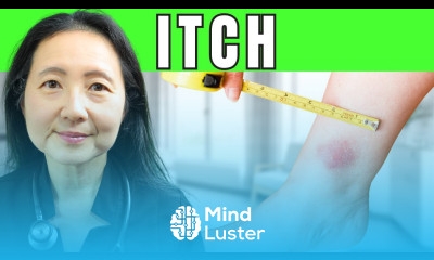 The Secret To Keeping Mosquitoes Away Avoiding Bites