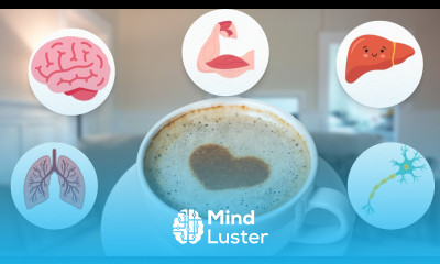 Superfoods Coffee Immunity Why You Should Drink It