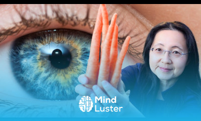 Top 10 Brain Boosting Anti Inflammatory Foods To Eat