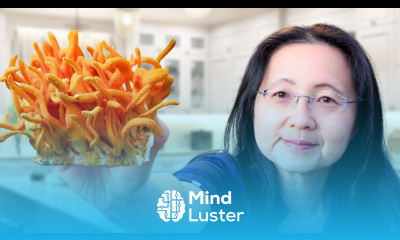 Boosting Immunity My Top 10 Must Eats