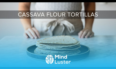 HOW TO MAKE CASSAVA FLOUR TORTILLAS gluten free paleo tortillas