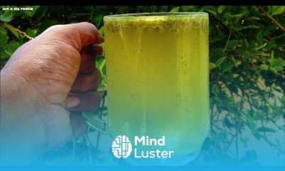 Kerala s Trending FULJAR SODA FULJAR SODA Recipe