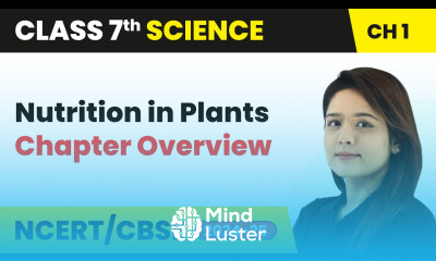 Nutrition in Plants Chapter Overview Class 7 Science Chapter 1 CBSE 2024 25