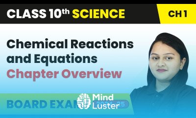 Chemical Reactions and Equations Chapter Overview Class 10 Chemistry Chapter 1 CBSE 2024 25