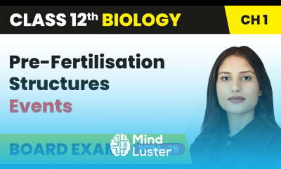 Pre Fertilisation Structures and Events Sexual Reproduction in Plants Class 12 Biology Chapter 1