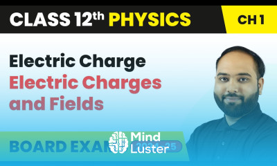 Electric Charge Electric Charges and Fields Class 12 Physics Chapter 1 CBSE 2024 25