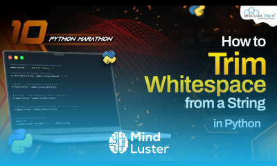 How To Trim Whitespace from a String in Python Python Programming Tutorial