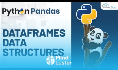 Learn Basics of DataFrames in Pandas Data Structure Python Pandas ...
