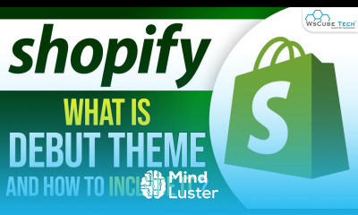 What is Shopify Debut Theme Shopify Debut Theme Customization