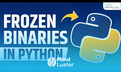 Frozen Binaries What are Frozen Binaries Learn How to Create a Frozen Binaries