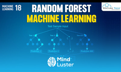 Learn Random Forest Classification in Machine Learning Random Forest ...