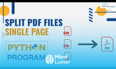 Learn How to Split a PDF File into Single Files using Python Complete ...