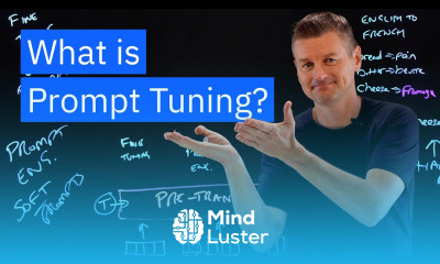 What is Prompt Tuning