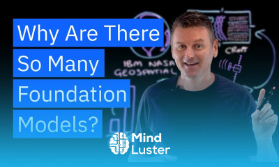 Why Are There So Many Foundation Models