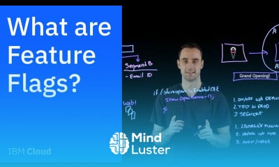 What are Feature Flags