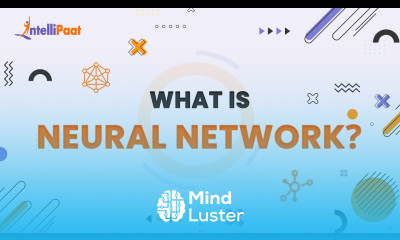 What is Neural Network Neural Networks Explained How Neural Networks Work Intellipaat