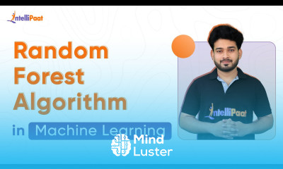 Learn Random Forest Explained Random Forest Algorithm in Machine ...