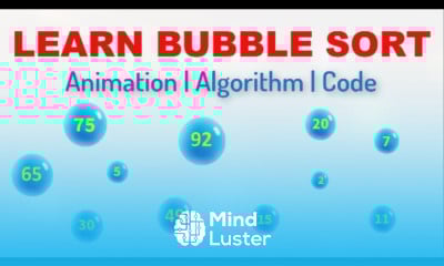 Bubble Sort Animation Algorithm Code