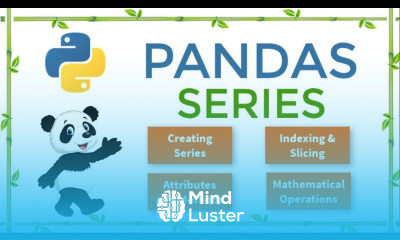 Learn Pandas Series in Python - Mind Luster