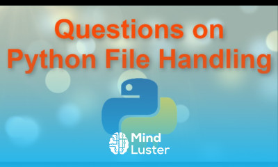 Handle any Python Text File Programs