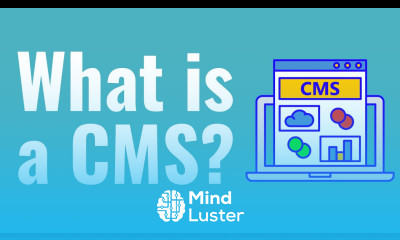 What is a CMS Content Management Systems Explained For Beginners