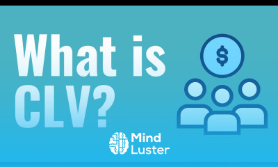 What is CLV Customer Lifetime Value Explained For Beginners Formula Example Definition