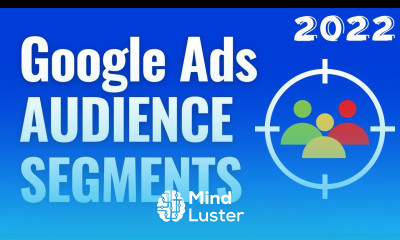 Google Ads Audience Segments 2022 Search Display Video Discovery and Shopping Segments