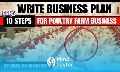 How to Write Poultry Farm Business Plan to Earn Money from Poultry poultry