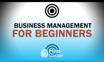 Business Management for Beginners 20 Principles You Must Know